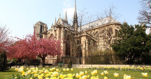 Notre Dame przed pożarem