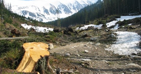 Tatry. Halny "zdmuchnął" turystkę