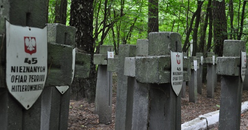 Miejsce hitlerowskiego mordu z czasów II wojny światowej w lesie ościsłowskim.