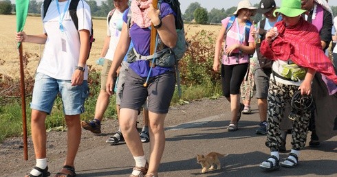 Kolejny dzień marszu w upale