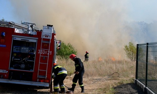 Mysłowice: już 70 razy wyjeżdżała w tym roku staż pożarna do palących się traw