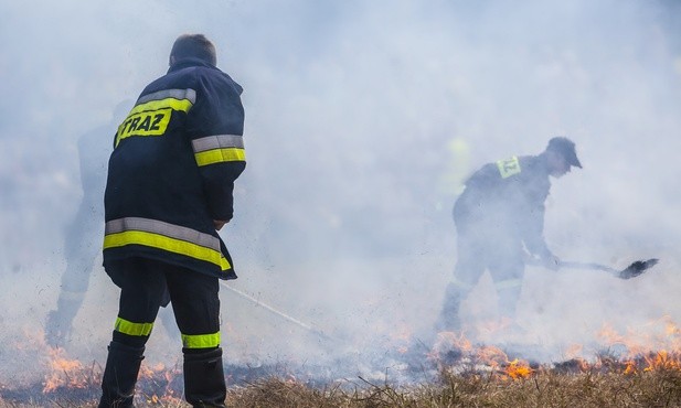Śląskie. Od początku roku strażacy wyjeżdżali już do blisko 2400 pożarów traw