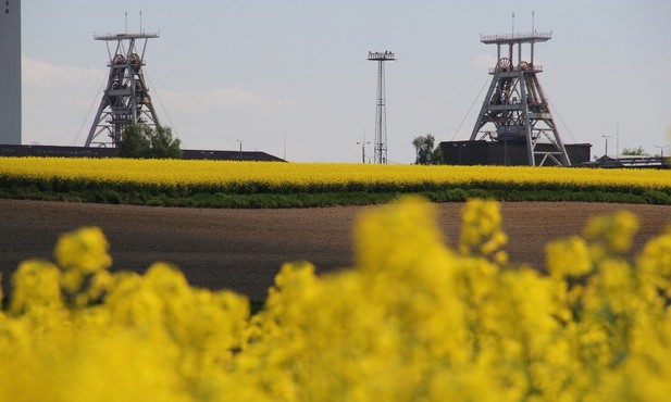 JSW: W pierwszej połowie września ratownicy pójdą po zaginionych w kopalni Pniówek