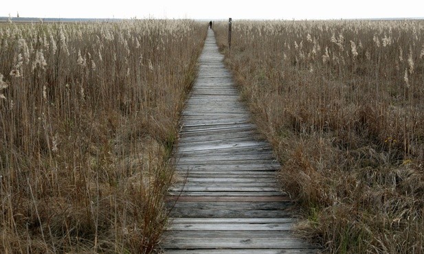 Życie jest nezwykle zróżnicowane
