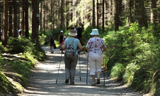 Katowice. Chodź z nami, chodź z kijami. W mieście można wypożyczyć sprzęt do nordic walkingu