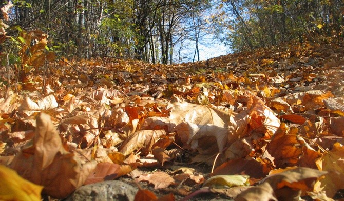 Mieszkanie w domu Ojca