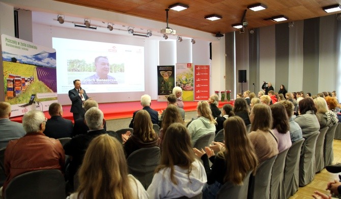 Jak chronić pszczołę miodną?