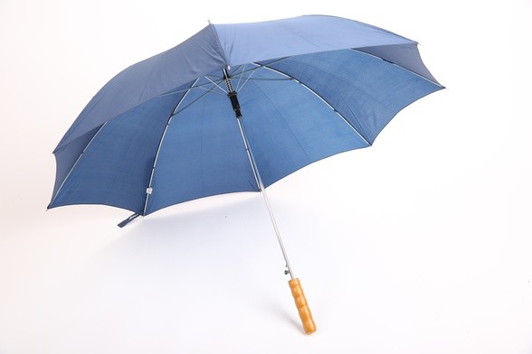 Parasol
