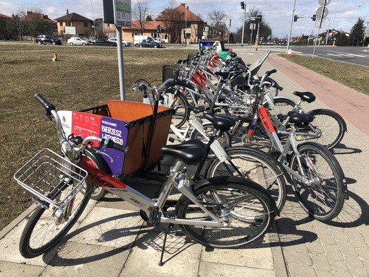 Rowerem do szkoły? Czemu nie?