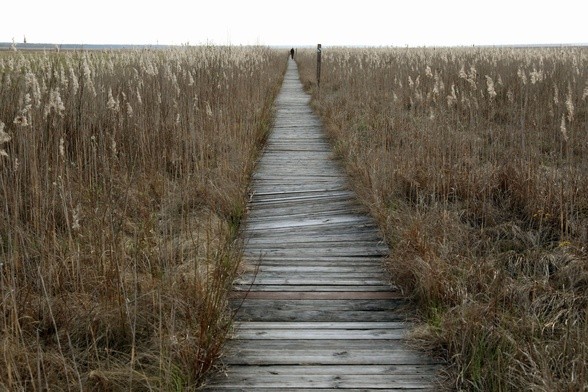 Życie jest nezwykle zróżnicowane