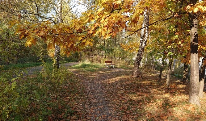 Ciepła, słoneczna jesień