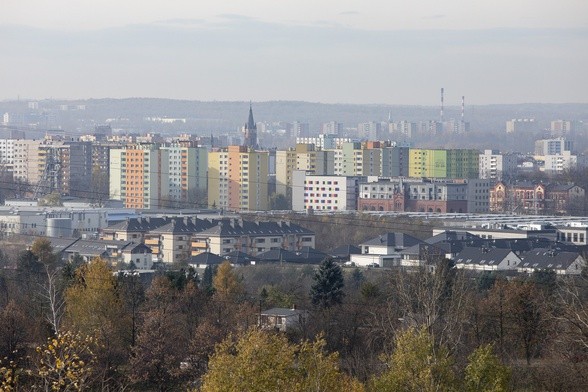 Kogo i co masz w sąsiedztwie?