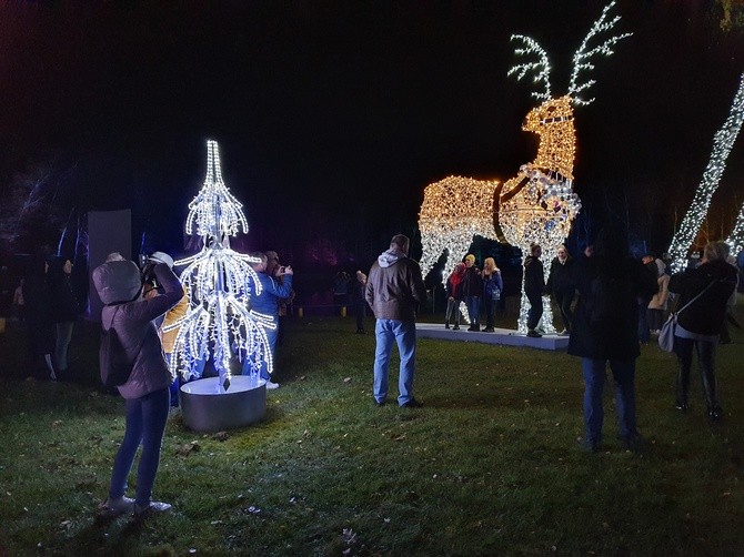 Park Miliona Świateł w Zabrzu