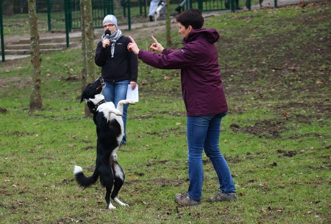 Park dla psów w Elblągu