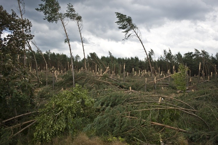 Wiatr wiele może