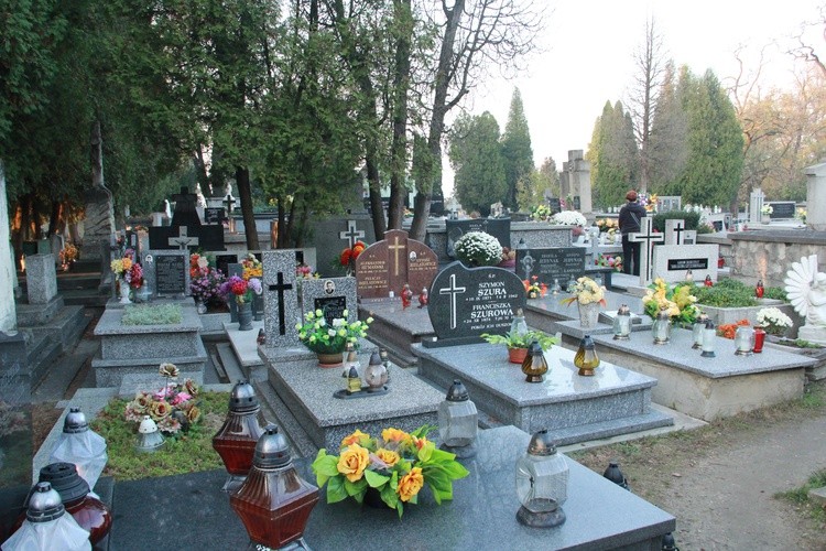 Stary cmentarz w Dębicy