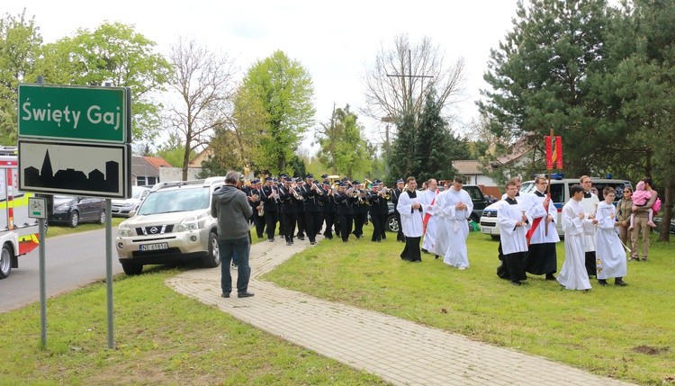 Święty Gaj 2024