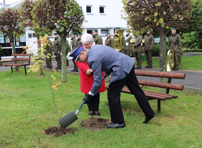 Dęby pamięci w Tolkmicku