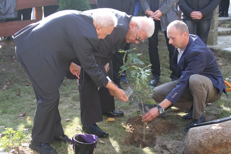 Dąb Pamięci w par. Janowiec Kościelny