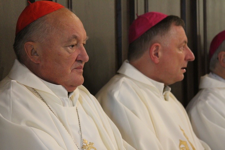 Episkopat w Płocku. Msza w kolegiacie