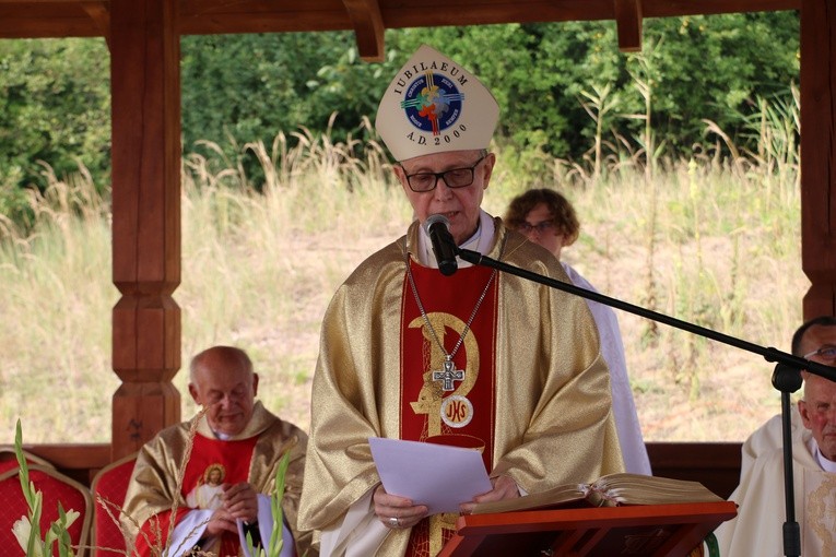 Dobrzyń nad Wisłą. Powitanie figury św. Jakuba