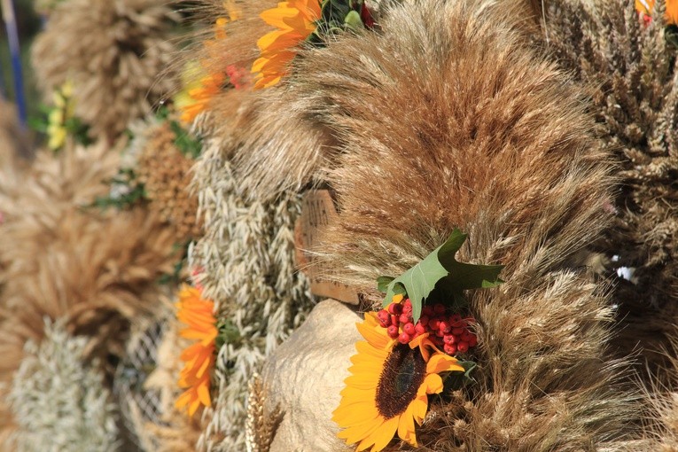 Dożynki w Sierpcu. Część 1