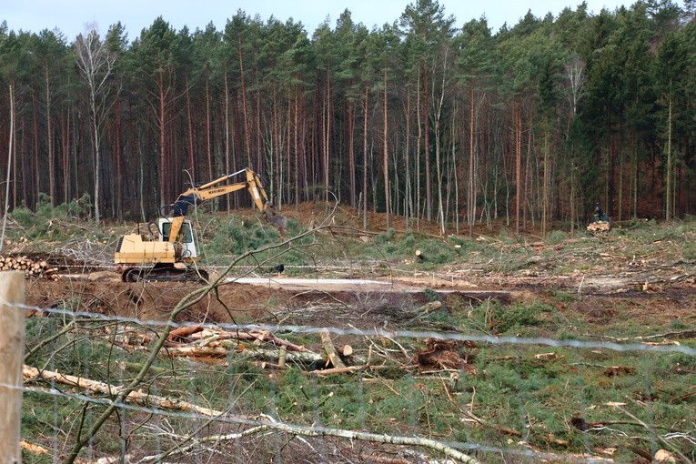Protesty na Mierzei Wiślanej
