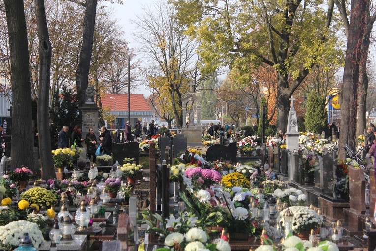 Wszystkich Świętych w Płocku