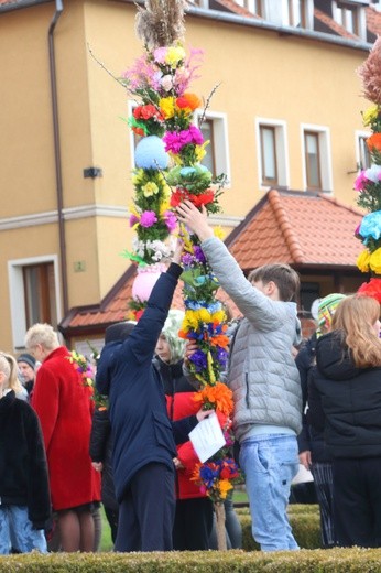 Tolmicko. Niedziela Palmowa 2024