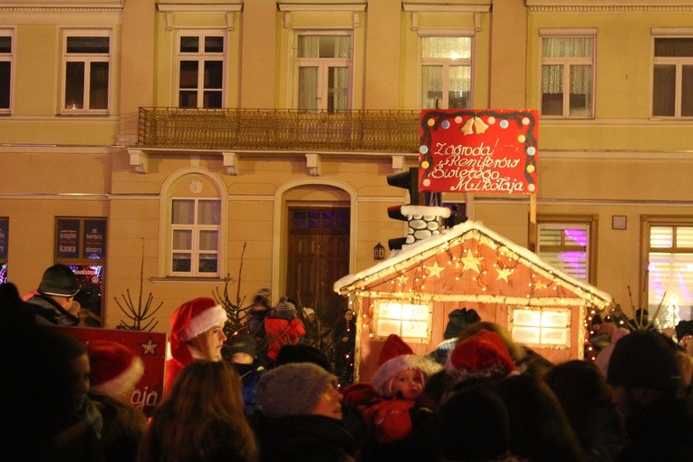 Płockie Ogrody Światła