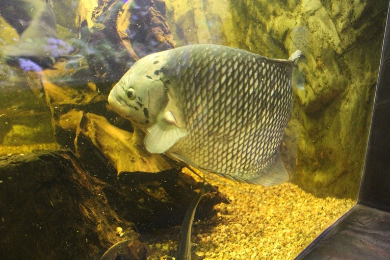 W płockim ZOO