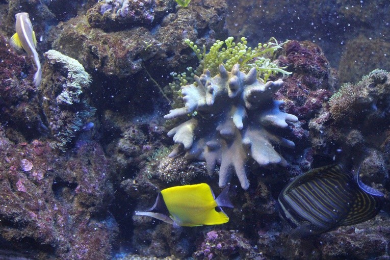 W płockim ZOO