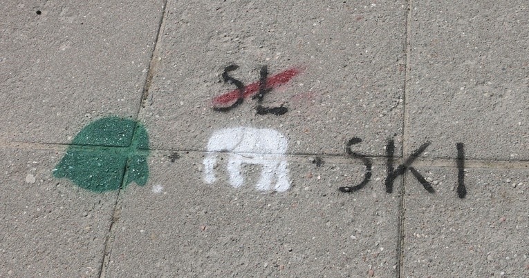 Streetart na ulicach Elbląga