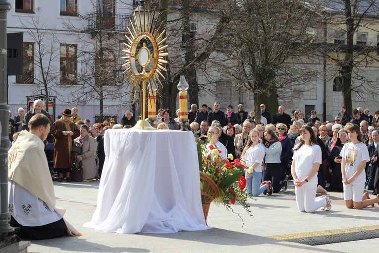 Niedziela Miłosierdzia w Płocku