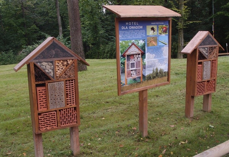 85 lat krakowskiego zoo