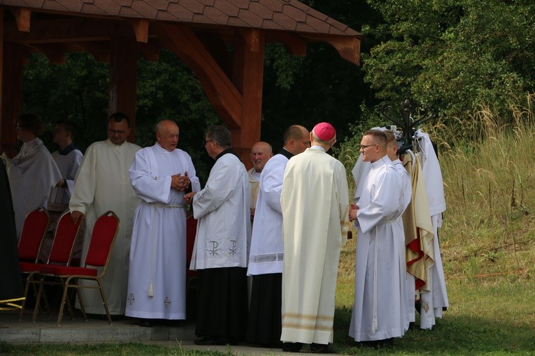 Dobrzyń nad Wisłą. Powitanie figury św. Jakuba