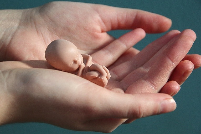Jak mówić dziś o aborcji? 30 lat prawnej ochrony życia w Polsce