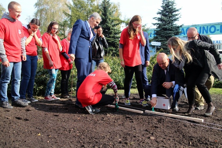 Pola Nadziei w Płocku