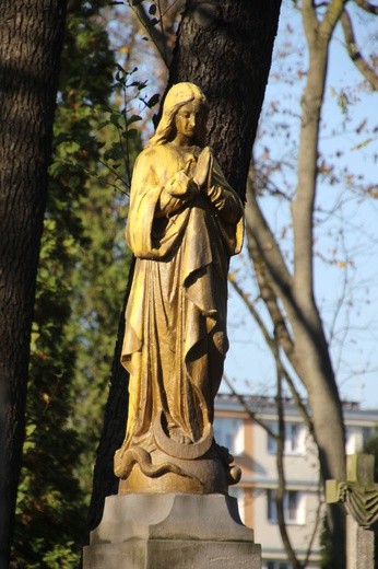 Płock. Uroczystość Wszystkich Świętych