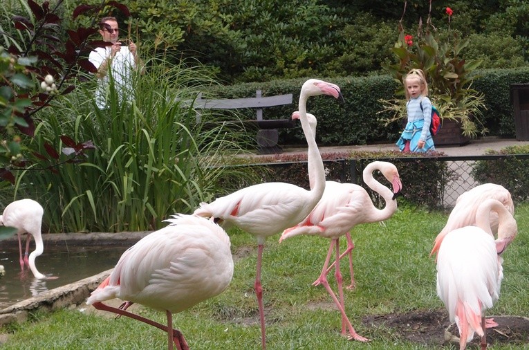 85 lat krakowskiego zoo