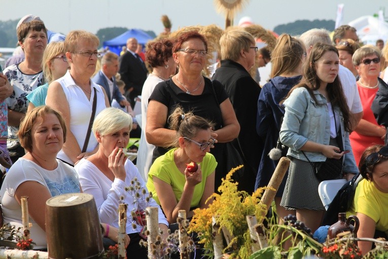 Dożynki diecezjalne. Część 2