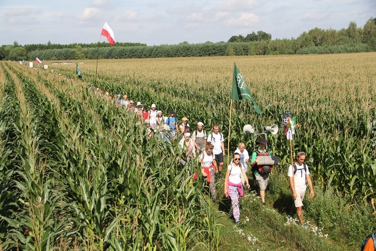 Rzuć okiem na ubiegłoroczną PPW