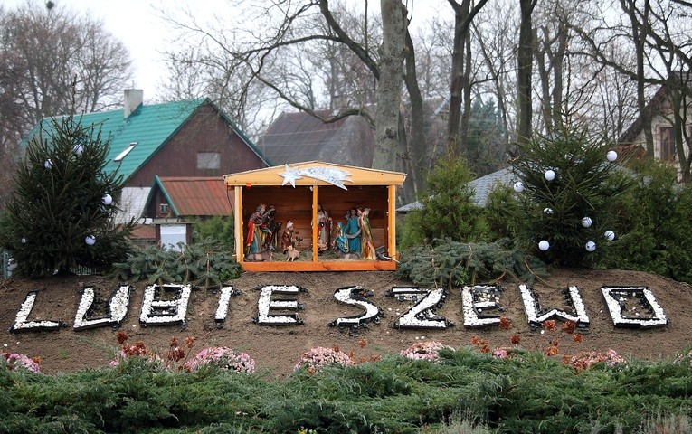 Ach, ubogi żłobie 