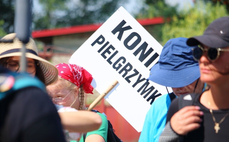 Pielgrzymka piesza - w trasie