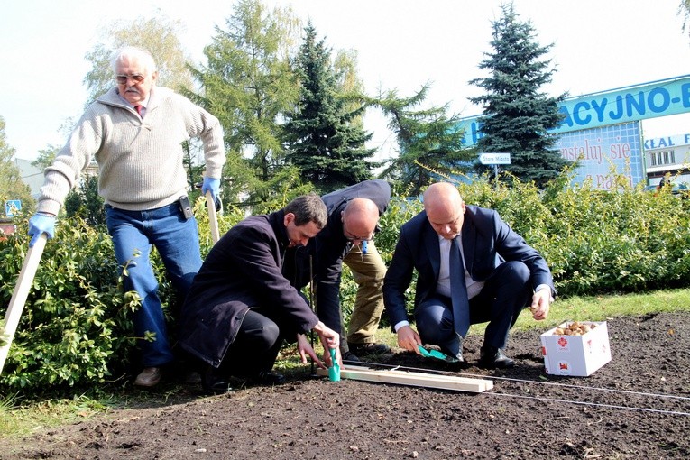 Pola Nadziei w Płocku