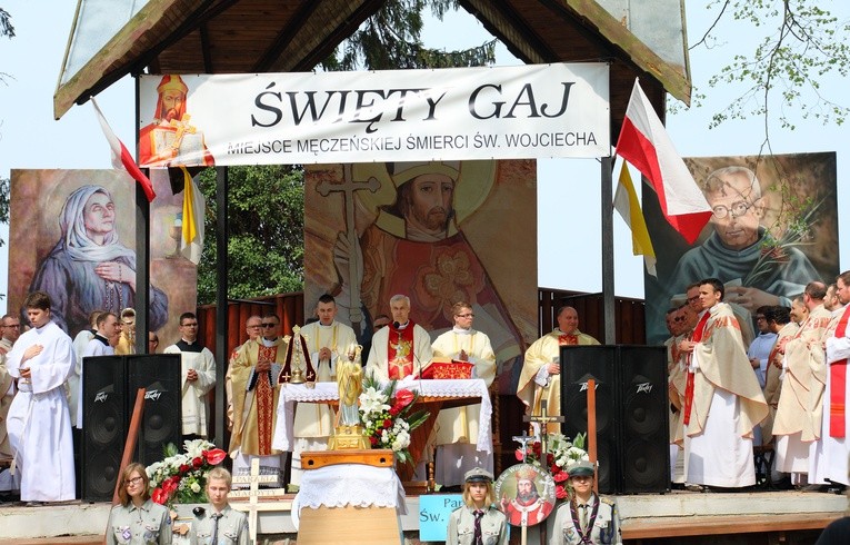 Uroczystości w Świętym Gaju