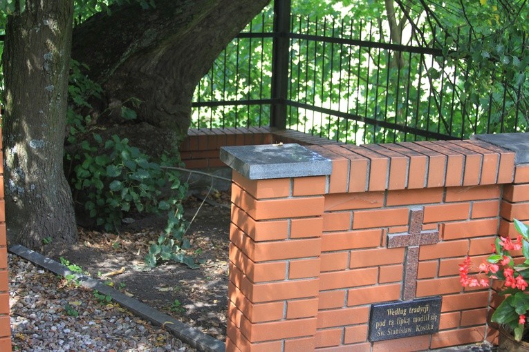 Rostkowo św. Stanisława Kostki