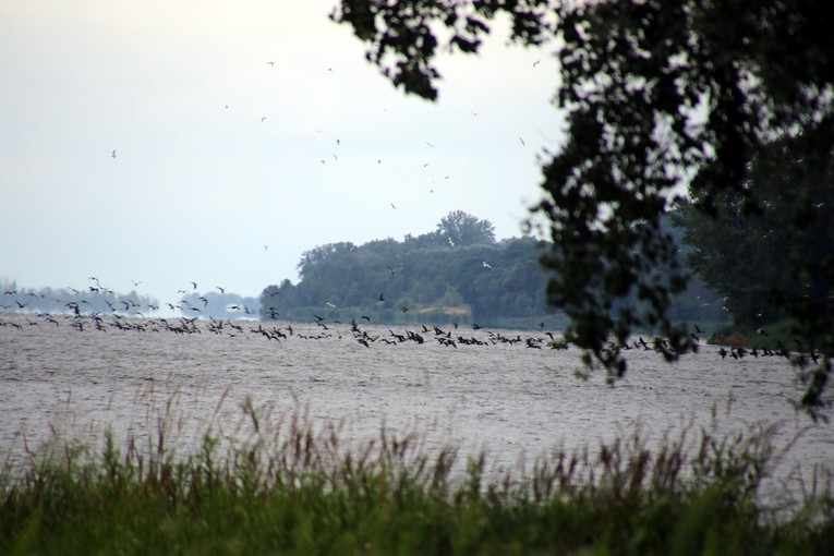 Płock. Pielgrzymka wodniaków
