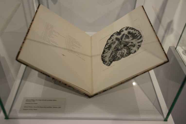 Płock. Wystawa w Muzeum Mazowieckim