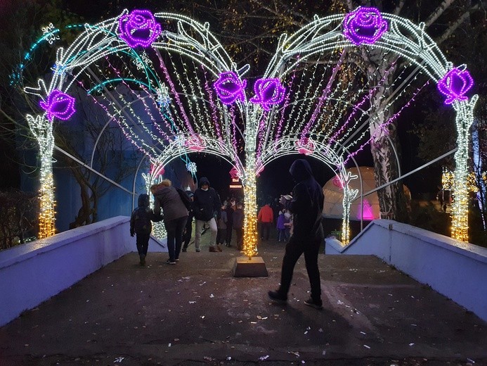 Park Miliona Świateł w Zabrzu